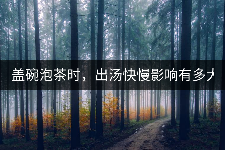 蓋碗泡茶時，出湯快慢影響有多大？