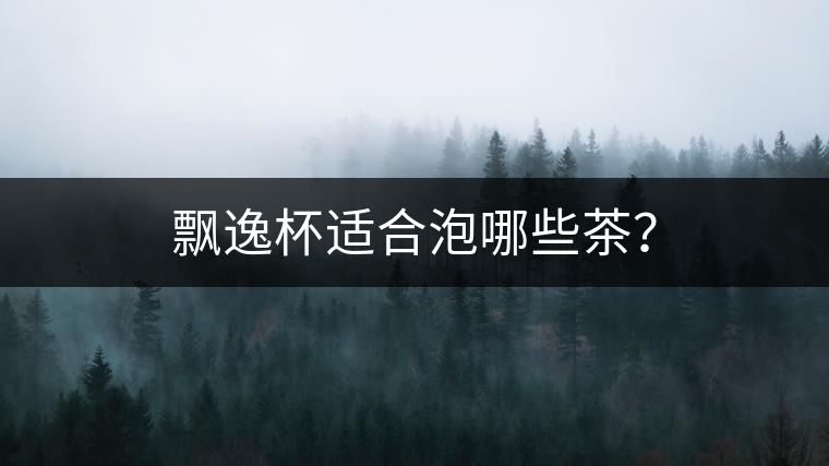 飄逸杯適合泡哪些茶？