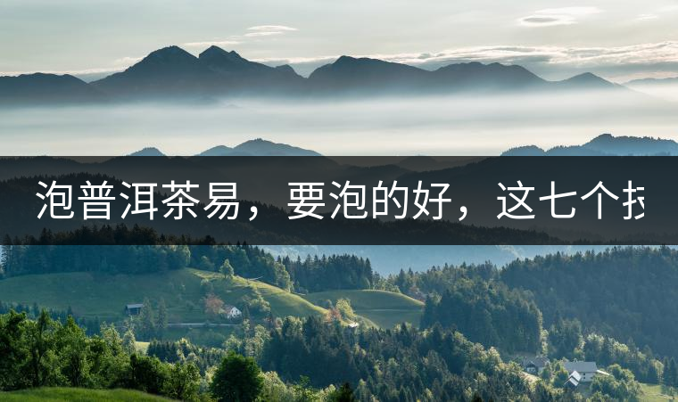 泡普洱茶易，要泡的好，這七個技巧很重要！