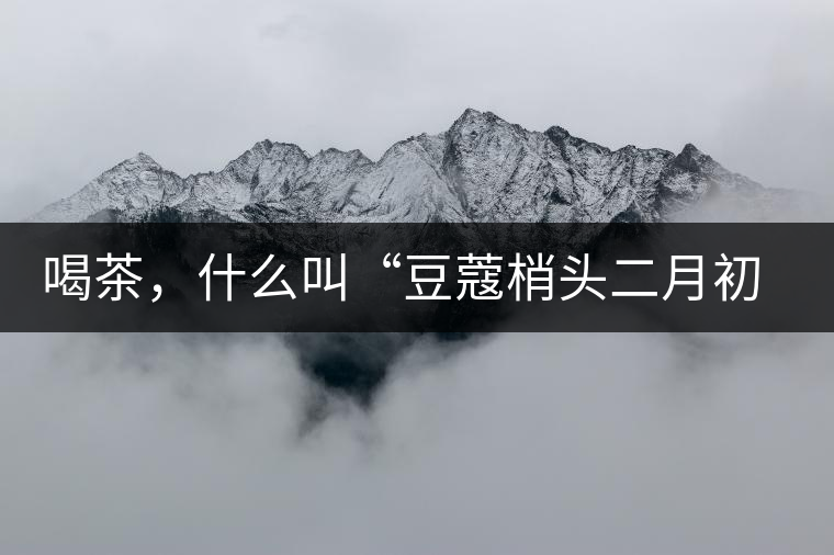 喝茶，什么叫“豆蔻梢頭二月初”？