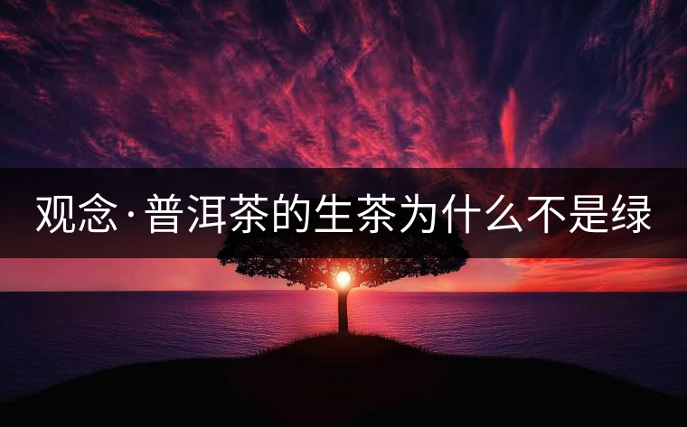 觀念·普洱茶的生茶為什么不是綠茶？