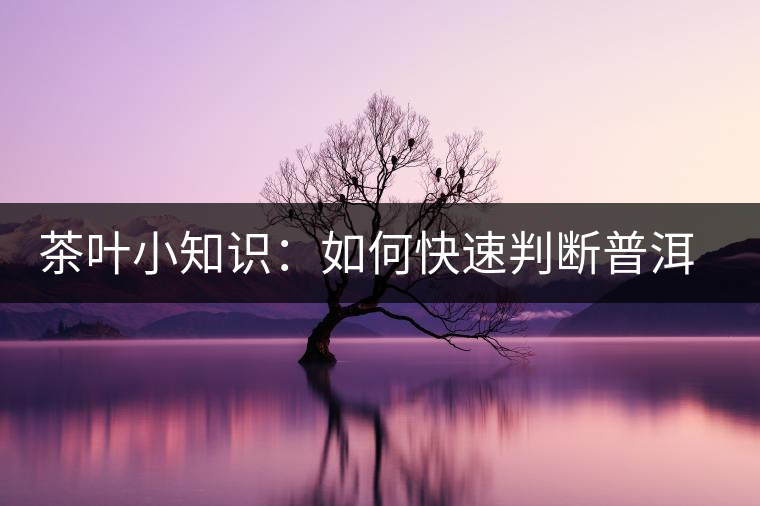 茶葉小知識(shí)：如何快速判斷普洱茶品級(jí)高低？