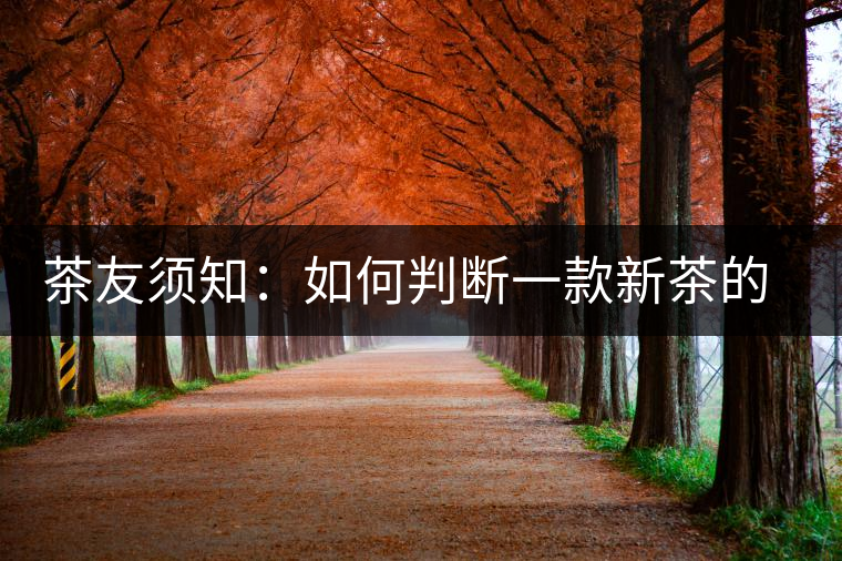 茶友須知：如何判斷一款新茶的陳化潛力？