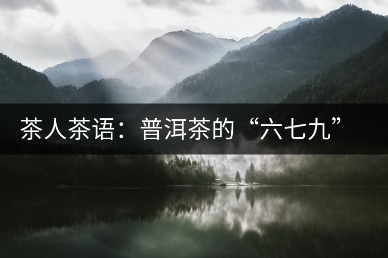 茶人茶語：普洱茶的“六七九” 你知道嗎？