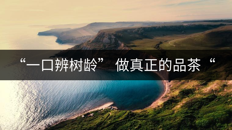 “一口辨樹齡” 做真正的品茶“大師”！