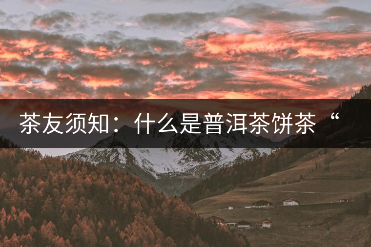 茶友須知：什么是普洱茶餅茶“八病”？如何鑒別？