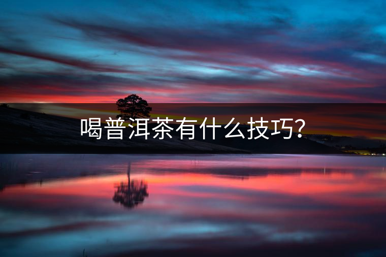 喝普洱茶有什么技巧？