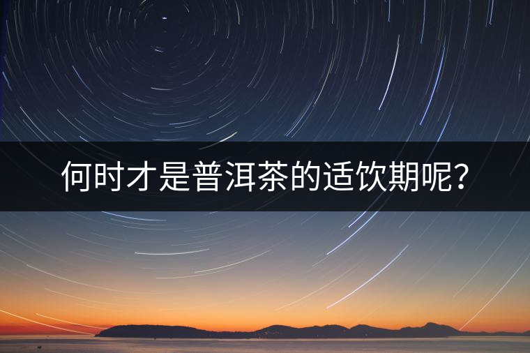 何時才是普洱茶的適飲期呢？