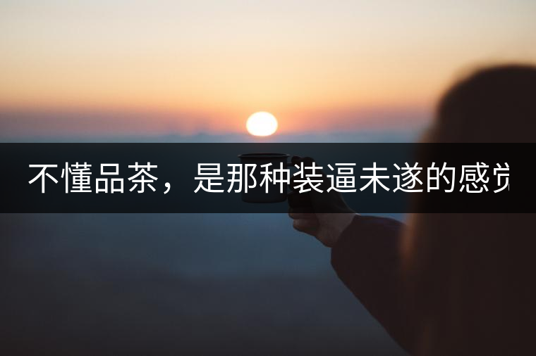 不懂品茶，是那種裝逼未遂的感覺？