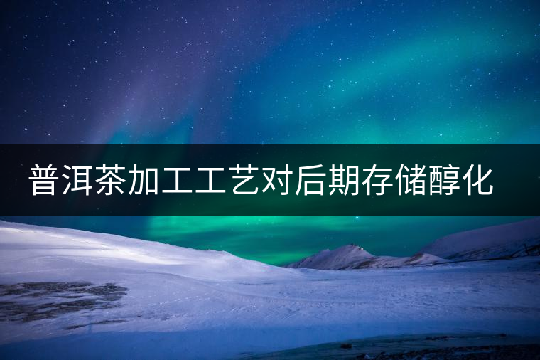 普洱茶加工工藝對后期存儲醇化的影響