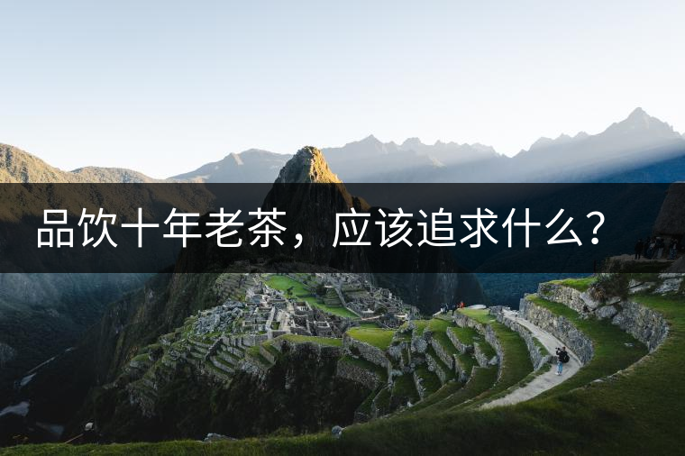 品飲十年老茶，應(yīng)該追求什么？滋味還是故事？