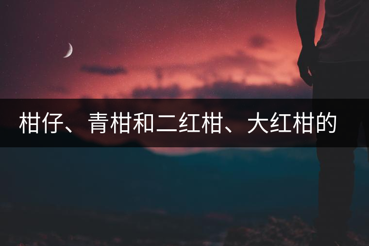 柑仔、青柑和二紅柑、大紅柑的區(qū)別，你可知道？