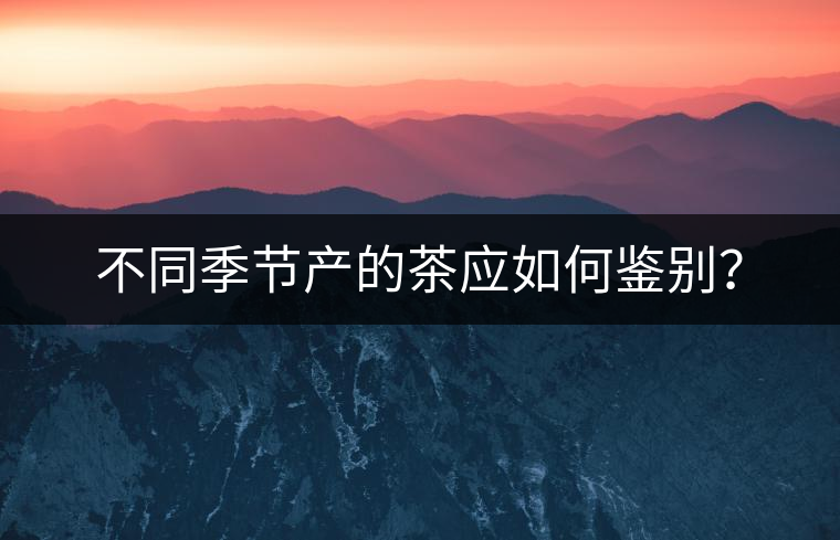 不同季節(jié)產(chǎn)的茶應(yīng)如何鑒別？