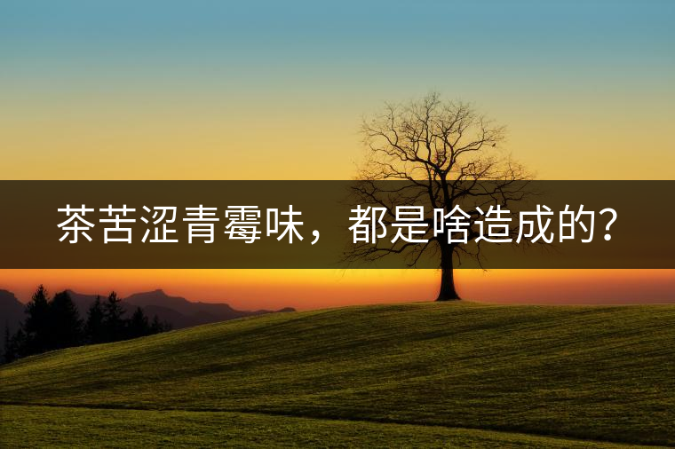 茶苦澀青霉味，都是啥造成的？