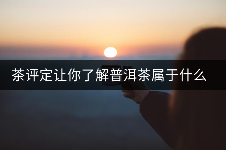 茶評定讓你了解普洱茶屬于什么茶系？