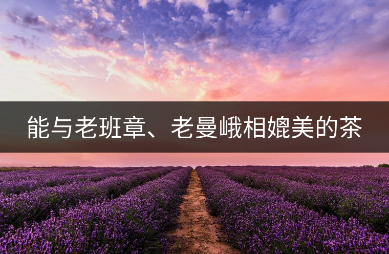 能與老班章、老曼峨相媲美的茶