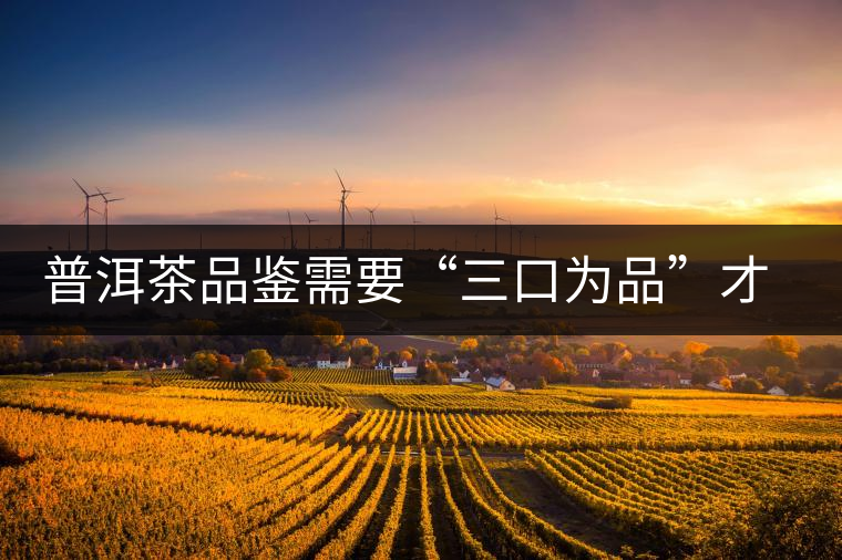 普洱茶品鑒需要“三口為品”才真實，那從哪里入手品鑒呢？