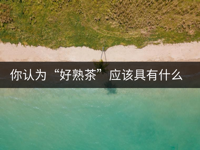 你認為“好熟茶”應該具有什么樣的標準？