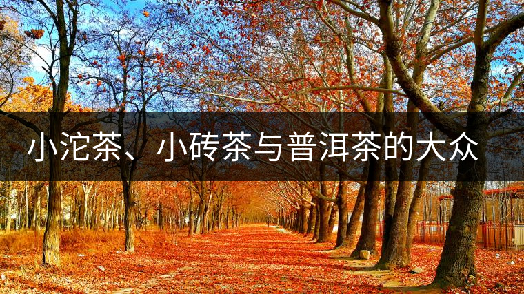 小沱茶、小磚茶與普洱茶的大眾化之路