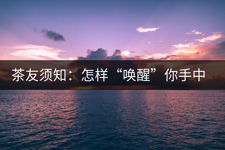 茶友須知：怎樣“喚醒”你手中的那一餅普洱茶？