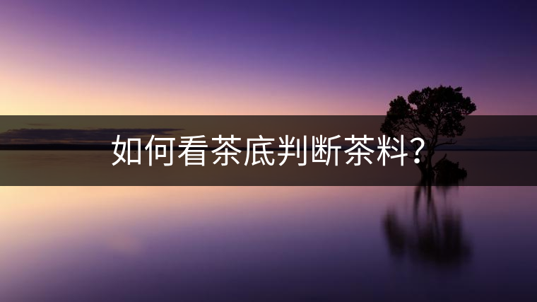如何看茶底判斷茶料？