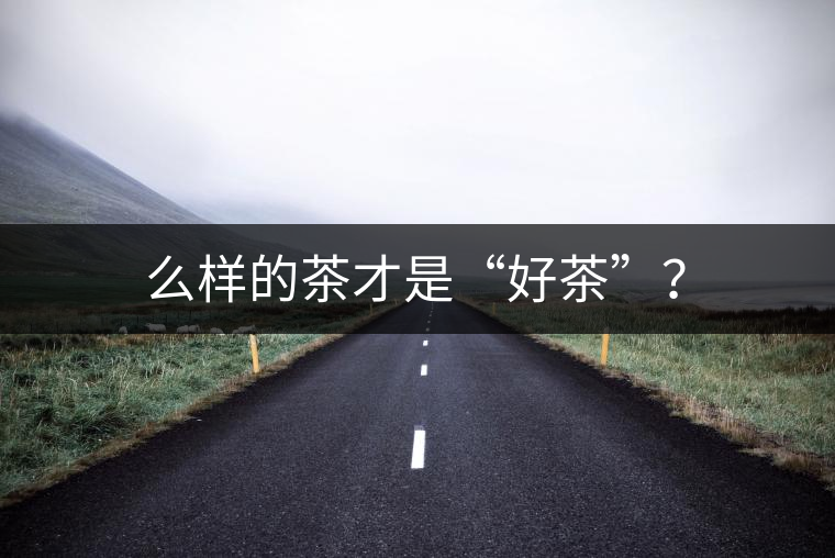 么樣的茶才是“好茶”？
