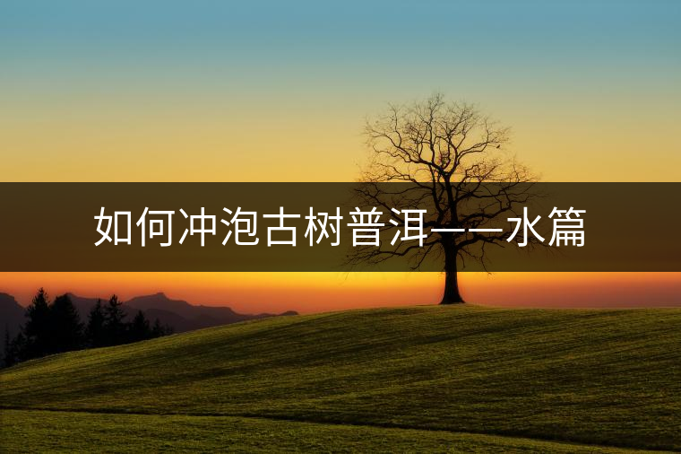 如何沖泡古樹普洱——水篇