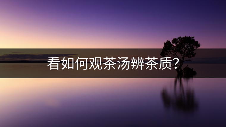 看如何觀茶湯辨茶質(zhì)？