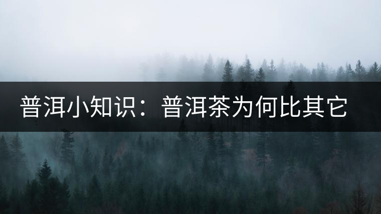 普洱小知識(shí)：普洱茶為何比其它茶葉耐泡？