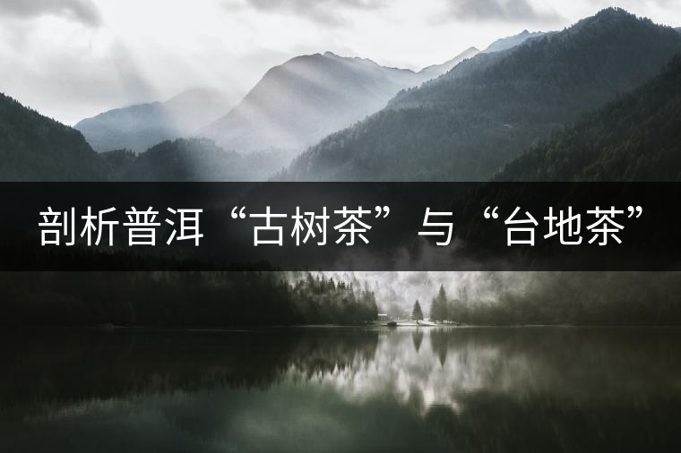 剖析普洱“古樹(shù)茶”與“臺(tái)地茶” 剖析普洱“古樹(shù)茶”與“臺(tái)地茶”