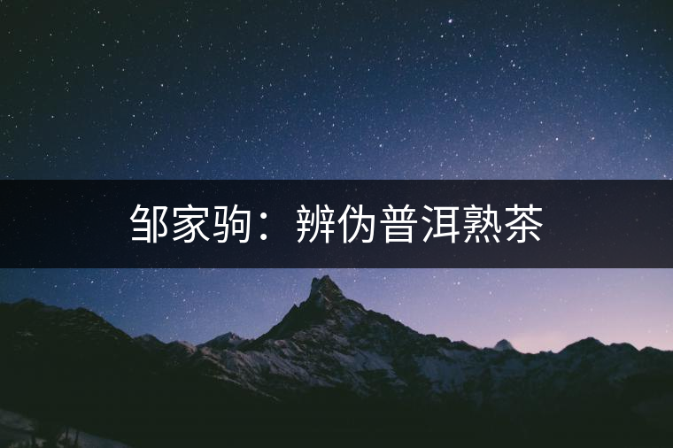 鄒家駒:辨?zhèn)纹斩觳? alt=