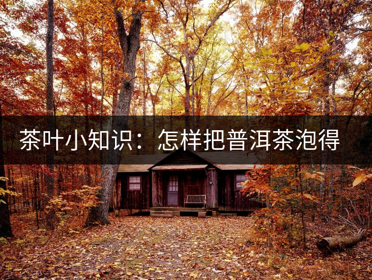 茶葉小知識(shí):怎樣把普洱茶泡得更有味 茶葉小知識(shí):怎樣把普洱茶泡得更有味