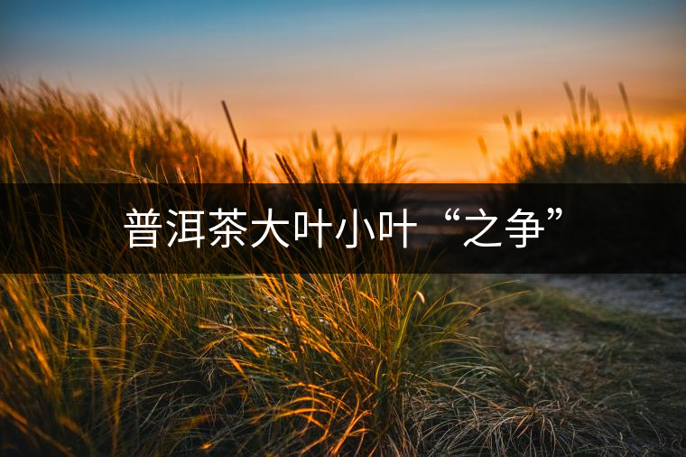 普洱茶大葉小葉“之爭(zhēng)” 普洱茶大葉小葉“之爭(zhēng)”
