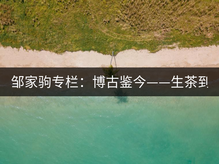 鄒家駒專欄：博古鑒今——生茶到底是不是普洱茶？