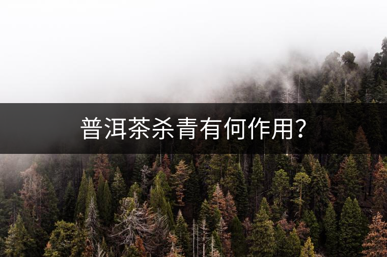 普洱茶殺青有何作用？