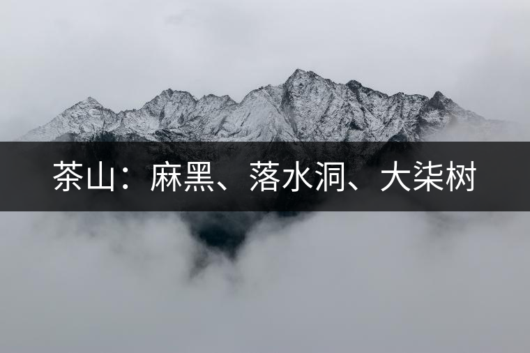 茶山：麻黑、落水洞、大柒樹