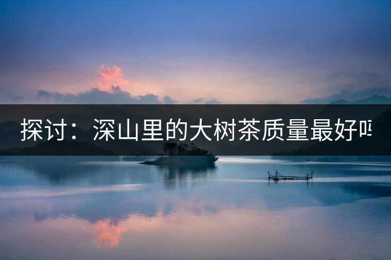 探討：深山里的大樹茶質量最好嗎？