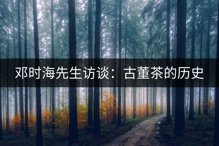 鄧時海先生訪談：古董茶的歷史