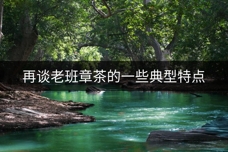 再談老班章茶的一些典型特點 再談老班章茶的一些典型特點