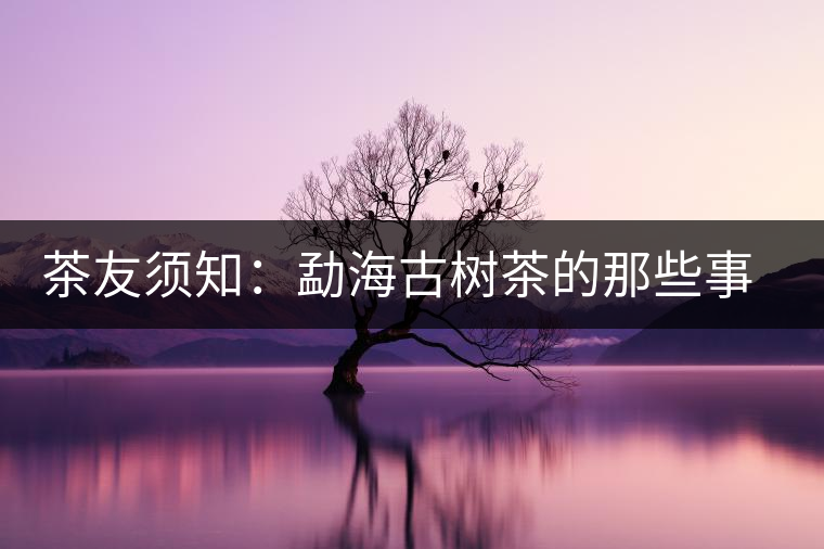 茶友須知：勐海古樹(shù)茶的那些事兒