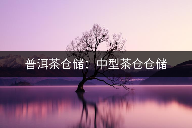普洱茶倉儲(chǔ)：中型茶倉倉儲(chǔ)