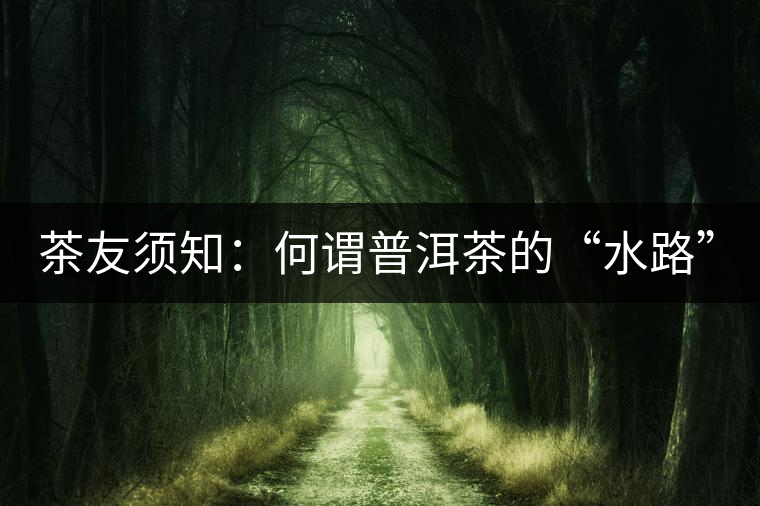 茶友須知：何謂普洱茶的“水路”？