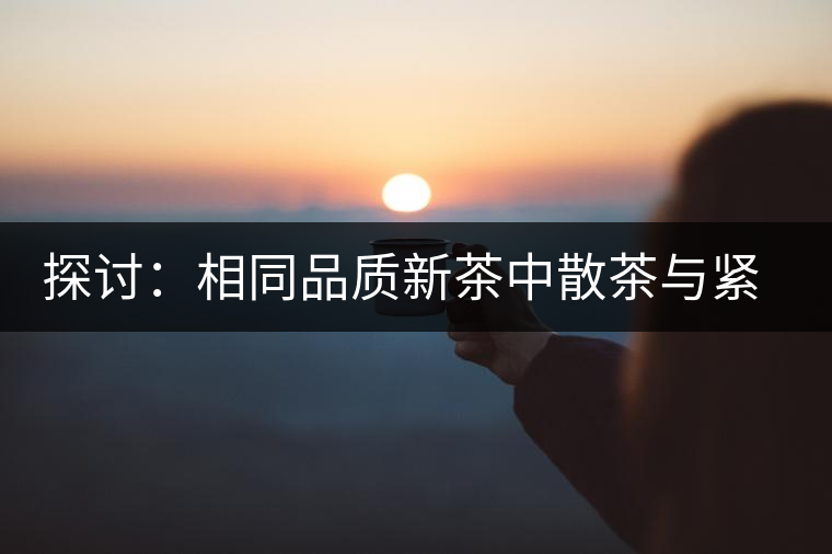 探討：相同品質(zhì)新茶中散茶與緊壓茶哪個好？