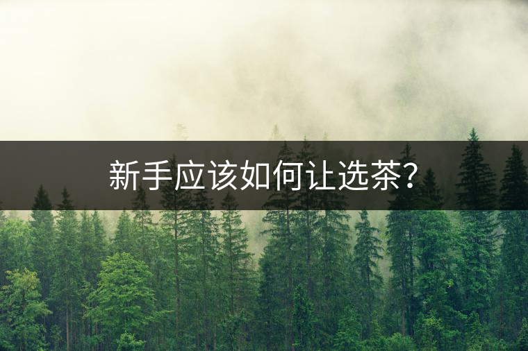 新手應該如何讓選茶？