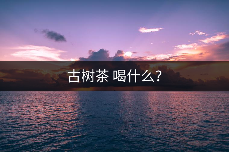 古樹茶 喝什么？