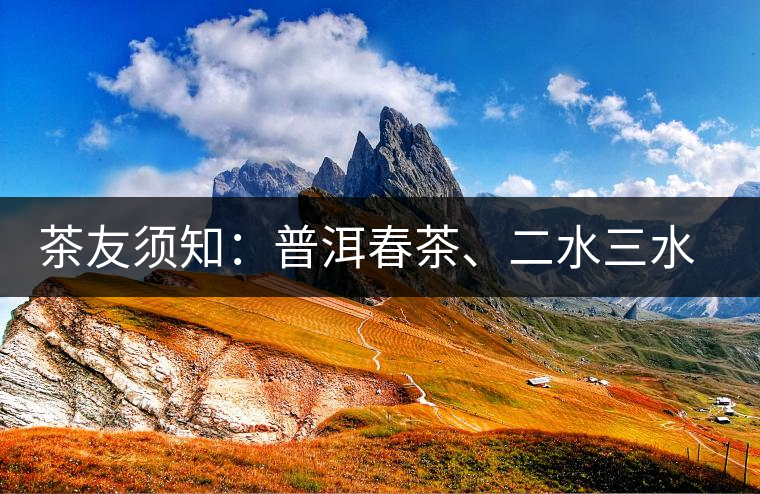 茶友須知：普洱春茶、二水三水茶和谷花茶