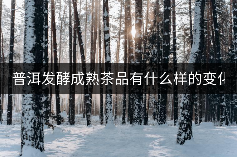 普洱發(fā)酵成熟茶品有什么樣的變化？