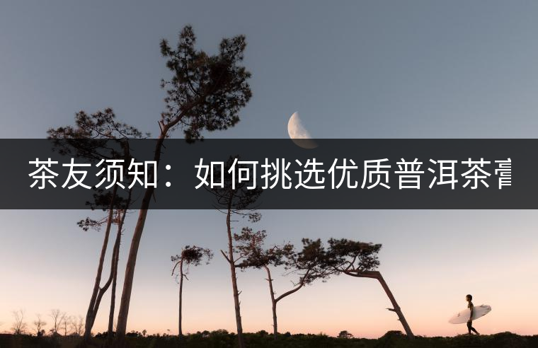 茶友須知：如何挑選優(yōu)質(zhì)普洱茶膏？