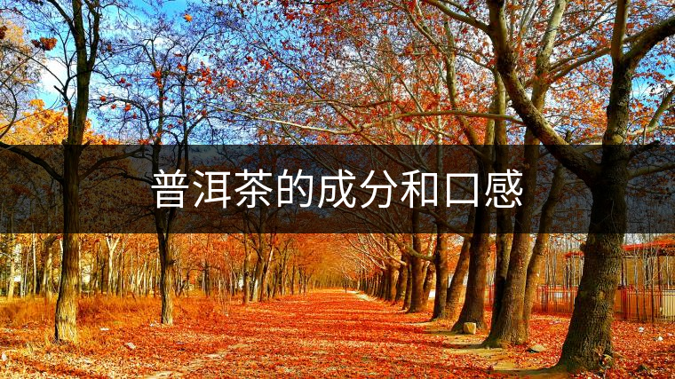 普洱茶的成分和口感