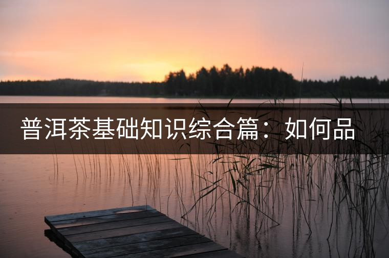 普洱茶基礎知識綜合篇：如何品鑒普洱茶